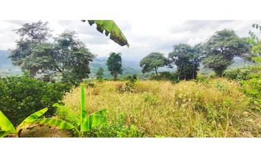 Lotes de 2000 M2 en urbanización, 200 mill en La Mesa Cund, COL.