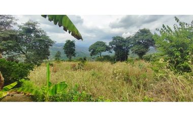 Lotes de 2000 M2 en urbanización, 200 mill en La Mesa Cund, COL.