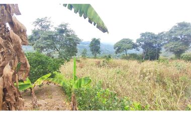 Lotes de 2000 M2 en urbanización, 200 mill en La Mesa Cund, COL.