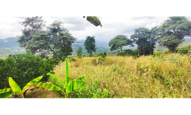 Lotes de 2000 M2 en urbanización, 200 mill en La Mesa Cund, COL.