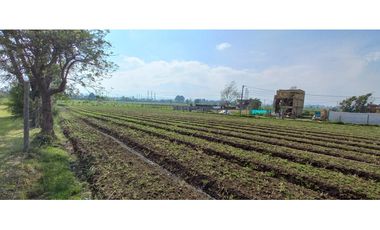 VENTA PARCELA COTA – LOTE