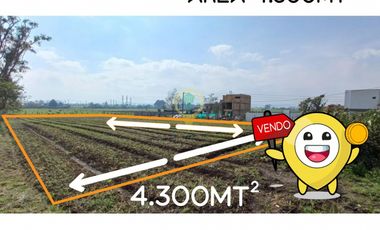 VENTA PARCELA COTA – LOTE