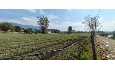 VENTA PARCELA COTA – LOTE