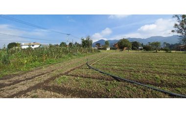 VENTA PARCELA COTA – LOTE