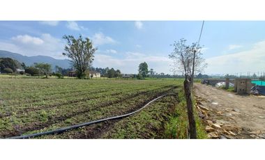 VENTA PARCELA COTA – LOTE