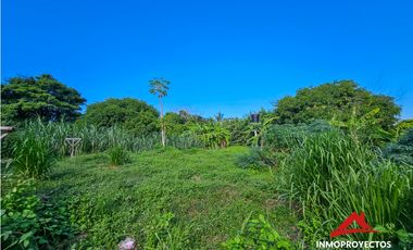 Lote con local a 5 min de la playa en Palomino, La Guajira
