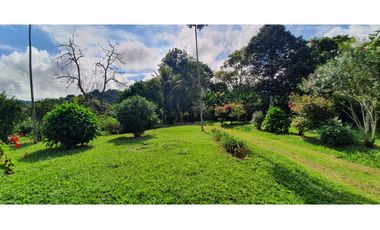 Finca productiva 51 cuadras café, plátano, limón y aguacate Buenavista