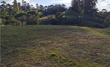 Venta de Lote en La Ceja