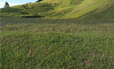 Venta de Lote en La Ceja