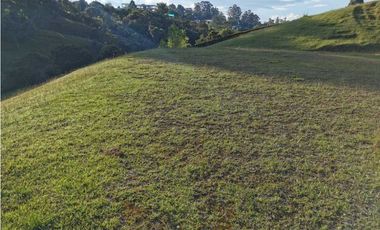 Venta de Lote en La Ceja
