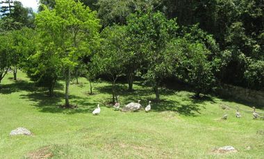 VENDO LOTE SILVANIA 2500M2