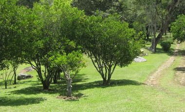 VENDO LOTE SILVANIA 2500M2