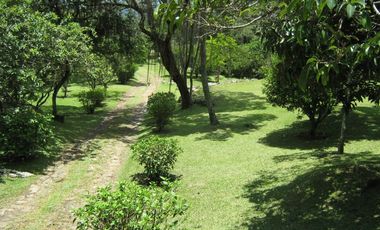 VENDO LOTE SILVANIA 2500M2