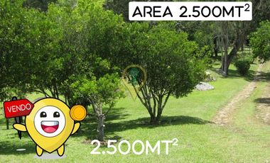 VENDO LOTE SILVANIA 2500M2