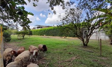 Se vende y / o permuta lote terreno de 9600m2 Barrio El Bosque Palmira