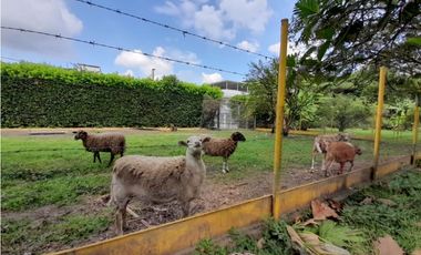 Se vende y / o permuta lote terreno de 9600m2 Barrio El Bosque Palmira