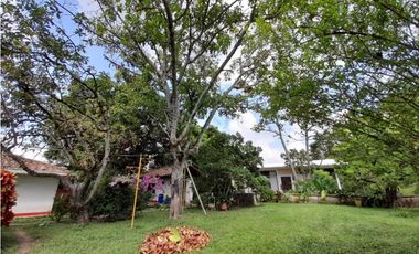 Se vende y / o permuta lote terreno de 9600m2 Barrio El Bosque Palmira