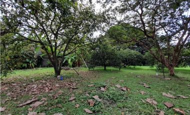 Se vende y / o permuta lote terreno de 9600m2 Barrio El Bosque Palmira