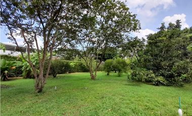 Se vende y / o permuta lote terreno de 9600m2 Barrio El Bosque Palmira