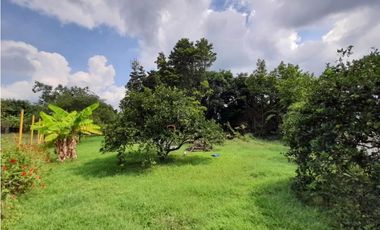 Se vende y / o permuta lote terreno de 9600m2 Barrio El Bosque Palmira