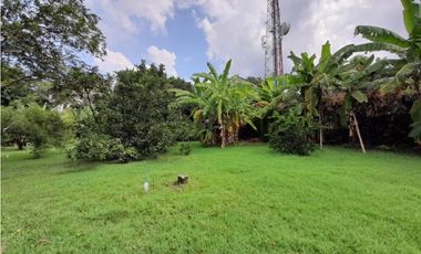 Se vende y / o permuta lote terreno de 9600m2 Barrio El Bosque Palmira