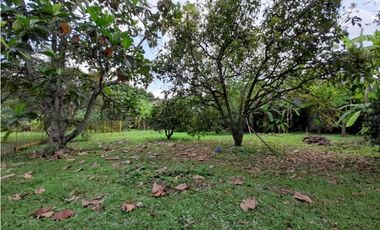Se vende y / o permuta lote terreno de 9600m2 Barrio El Bosque Palmira