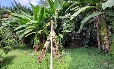 Se vende y / o permuta lote terreno de 9600m2 Barrio El Bosque Palmira