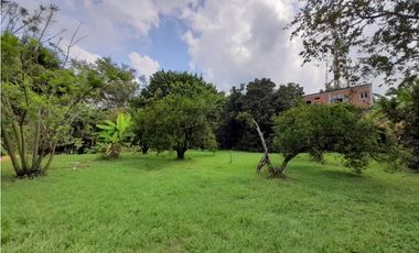 Se vende y / o permuta lote terreno de 9600m2 Barrio El Bosque Palmira