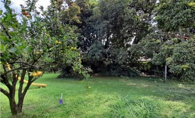 Se vende y / o permuta lote terreno de 9600m2 Barrio El Bosque Palmira