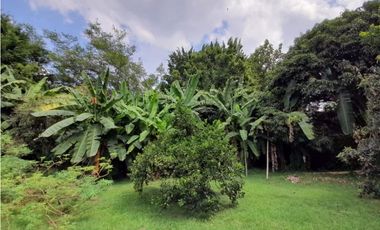 Se vende y / o permuta lote terreno de 9600m2 Barrio El Bosque Palmira