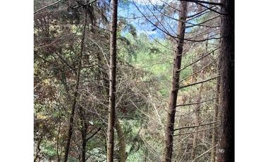 Venta de Lote en El Retiro