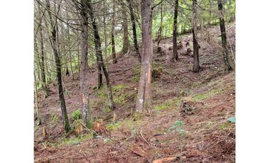 Venta de Lote en El Retiro