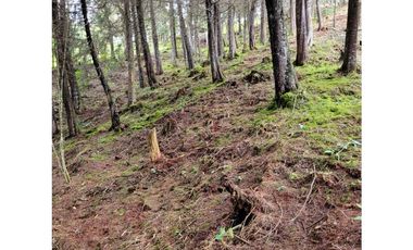 Venta de Lote en El Retiro