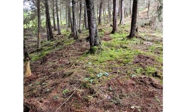 Venta de Lote en El Retiro