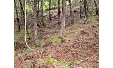 Venta de Lote en El Retiro