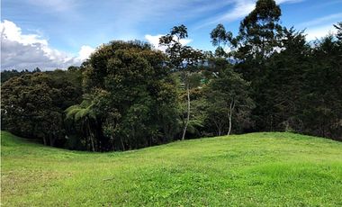 Lote de 4.845 m² en unidad cerrada via San Antonio La Ceja