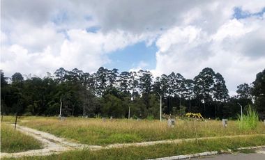 VENTA DE LOTE URBANIZADO EN EL CARMEN DE VIBORAL DE 84.5 M2