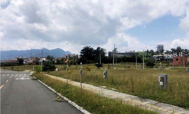 VENTA DE LOTE URBANIZADO EN EL CARMEN DE VIBORAL DE 84.5 M2