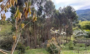 Venta casa campestre independiente en El Retiro con bosque Y quebrada