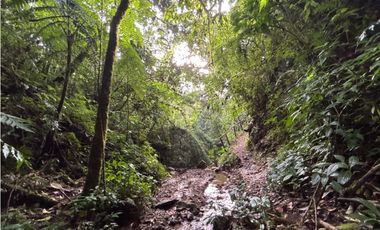 Venta casa campestre independiente en El Retiro con bosque Y quebrada