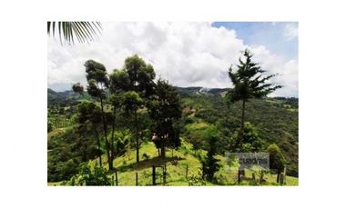 Casa Finca con 12.000 m² de lote independiente en El Retiro
