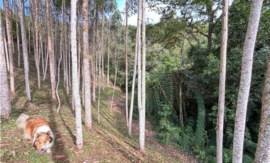 Venta casa campestre independiente en El Retiro con bosque Y quebrada