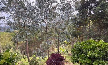 Venta casa campestre independiente en El Retiro con bosque Y quebrada