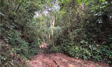 Venta casa campestre independiente en El Retiro con bosque Y quebrada
