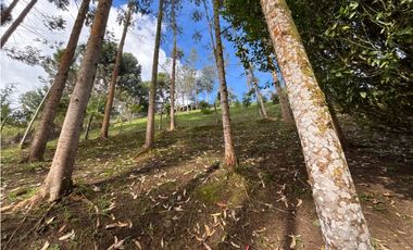 Venta casa campestre independiente en El Retiro con bosque Y quebrada