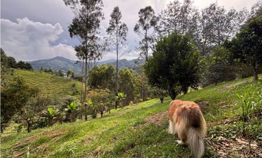 Venta casa campestre independiente en El Retiro con bosque Y quebrada