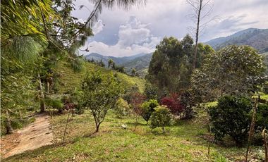 Venta casa campestre independiente en El Retiro con bosque Y quebrada