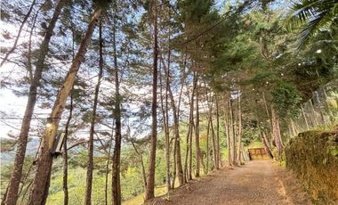 Venta casa campestre independiente en El Retiro con bosque Y quebrada
