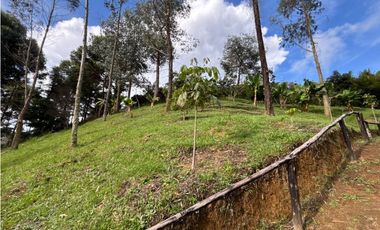 Venta casa campestre independiente en El Retiro con bosque Y quebrada