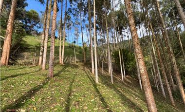 Venta casa campestre independiente en El Retiro con bosque Y quebrada